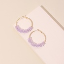 Korean exaggerated geometric big circle purple transparent crystal earrings hipster simple ring earrings wholesale nihaojewelrypicture11