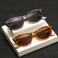 Fashion cat eye rice nail trend retro classic small frame sunglasses wholesale