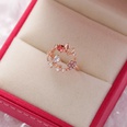 Korea fashion diamond crystal zircon flower ring micro inlaid sweet wild love flower ring wholesale nihaojewelrypicture83