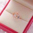 Korea fashion diamond crystal zircon flower ring micro inlaid sweet wild love flower ring wholesale nihaojewelrypicture84