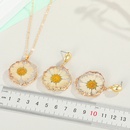 fashion jewelry daisy sun flower pendant necklace imitation natural stone sweater chain dried flower resin lady wholesale nihaojewelrypicture11