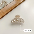 Pearl hairpin head bath grab clip large Korean elegant disc hair top clip headdress wholesale nihaojewelrypicture31