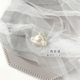 Pearl hairpin head bath grab clip large Korean elegant disc hair top clip headdress wholesale nihaojewelrypicture34