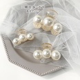 Pearl hairpin head bath grab clip large Korean elegant disc hair top clip headdress wholesale nihaojewelrypicture37