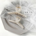 Pearl hairpin head bath grab clip large Korean elegant disc hair top clip headdress wholesale nihaojewelrypicture23