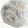 Pearl hairpin head bath grab clip large Korean elegant disc hair top clip headdress wholesale nihaojewelrypicture45