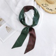 New doublesided spring thin and narrow ribbon streamer wild tie long small silk scarf for womenpicture42
