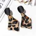 trend fashion  leopard print plush Korean  long earrings for womenpicture16
