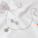 neue einfache mikroeingelegte Diamant Schneeflocke Anhnger Halskette Schneeflocke Ohrringe Setpicture13