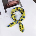 New Spring and Autumn Summer Small Silk Scarf Small Square Towel Womens Korean Professional Variety Decorative Printed Scarf Scarf Wholesalepicture113