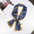 Cloth Korea  Hair accessories  1 little tiger blue  Fashion Jewelry NHMN03471littletigerbluepicture59