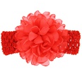 Cloth Fashion Flowers Hair accessories  red  Fashion Jewelry NHWO1098redpicture16