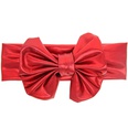 Cloth Fashion Flowers Hair accessories  red  Fashion Jewelry NHWO1072redpicture21