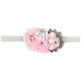 Cloth Fashion Flowers Hair accessories  1  Fashion Jewelry NHWO10691picture13