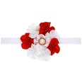 Cloth Fashion Flowers Hair accessories  red  Fashion Jewelry NHWO1027redpicture5