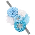 Cloth Fashion Flowers Hair accessories  1  Fashion Jewelry NHWO09991picture16