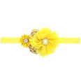 Cloth Fashion Flowers Hair accessories  yellow  Fashion Jewelry NHWO1000yellowpicture11