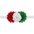 Cloth Fashion Flowers Hair accessories  SD0271  Fashion Jewelry NHWO0934SD0271picture7