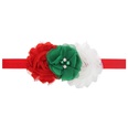 Cloth Fashion Flowers Hair accessories  SD0271  Fashion Jewelry NHWO0934SD0271picture9