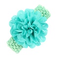 Cloth Fashion Flowers Hair accessories  red  Fashion Jewelry NHWO0898redpicture22