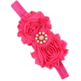 Cloth Fashion Flowers Hair accessories  SD0441  Fashion Jewelry NHWO0896SD0441picture7
