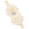 Cloth Fashion Sweetheart Hair accessories  yellow  Fashion Jewelry NHWO0874yellowpicture43