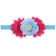 Cloth Fashion Flowers Hair accessories  1  Fashion Jewelry NHWO07171picture21