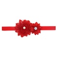 Cloth Fashion Flowers Hair accessories  red  Fashion Jewelry NHWO0685redpicture25