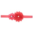 Cloth Fashion Flowers Hair accessories  red  Fashion Jewelry NHWO0685redpicture32