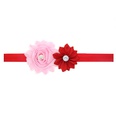 Cloth Fashion Flowers Hair accessories  red  Fashion Jewelry NHWO0685redpicture34
