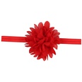 Cloth Fashion Flowers Hair accessories  red  Fashion Jewelry NHWO0677redpicture12