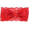 Cloth Fashion Flowers Hair accessories  red  Fashion Jewelry NHWO0595redpicture9