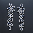 Imitated crystalCZ Fashion Tassel earring  Alloy  Fashion Jewelry NHAS0628Alloypicture16