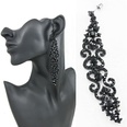 Alloy Fashion Tassel earring  black  Fashion Jewelry NHAS0616blackpicture8