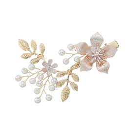 Alloy Fashion Flowers Hair accessories  Alloy  Fashion Jewelry NHHS0649Alloypicture3