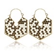 Alloy Fashion Geometric earring  Alloy NHGY2786Alloypicture3