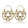 Alloy Simple Flowers earring  Alloy NHGY2768Alloypicture3