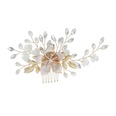 Beads Simple Flowers Hair accessories  Alloy NHHS0597Alloypicture2