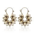 Alloy Simple Flowers earring  Alloy NHGY2752Alloypicture4