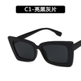 Plastic Fashion  glasses  C1 NHKD0531C1picture22