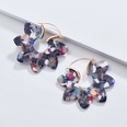 Alloy Fashion Flowers earring  1 NHLU03331picture26