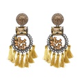 Alloy Fashion Tassel earring  color NHJJ5076colorpicture14