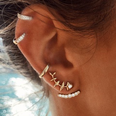 Korean new fashion women's full diamond back-hanging fish bone alloy earrings set