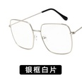 Alloy Fashion  glasses  Alloy ash NHKD0050Alloyashpicture46