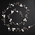 Plastic Fashion Flowers Hair accessories  Alloy NHHS0425Alloypicture2
