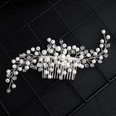 Alloy Fashion Flowers Hair accessories  Alloy NHHS0398Alloypicture2