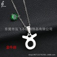 TitaniumStainless Steel Korea Geometric necklace  Aries NHHF0073Ariespicture14