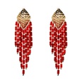 Plastic Fashion Tassel earring  red NHJJ4892redpicture8
