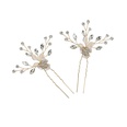 Alloy Fashion Flowers Hair accessories  HSJ4793 NHHS0218HSJ4793picture10