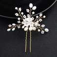 Beads Fashion Flowers Hair accessories  Alloy NHHS0166Alloypicture4